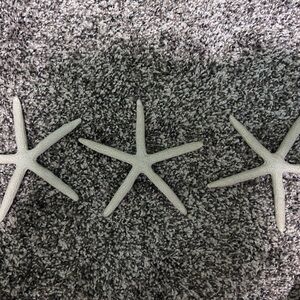 Decorative White Starfish Trio
